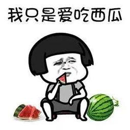 吃瓜星娱乐是什么,娱乐圈幕后风云大揭秘